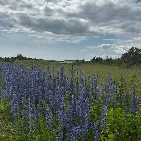 Campingplads Anniksson Nature Private Tiny Virtsu