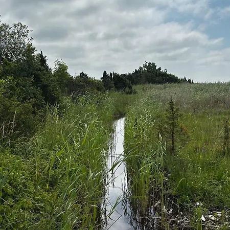 营地 Anniksson Nature Private Tiny Virtsu