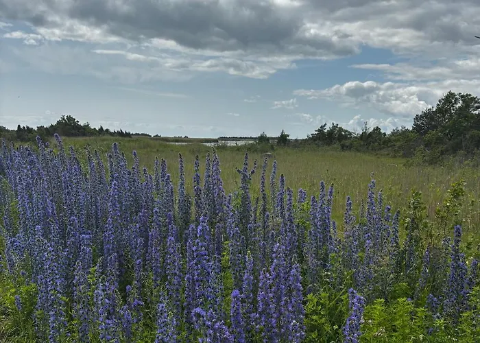 营地 Anniksson Nature Private Tiny Virtsu