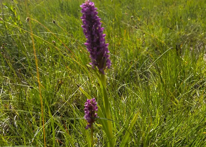 Anniksson Nature Private Tiny 营地 *