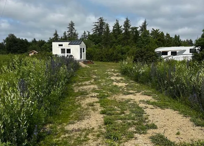 Kamp Anniksson Nature Private Tiny Virtsu