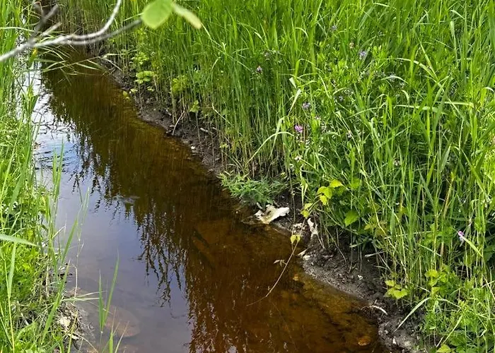 Kamp Anniksson Nature Private Tiny *