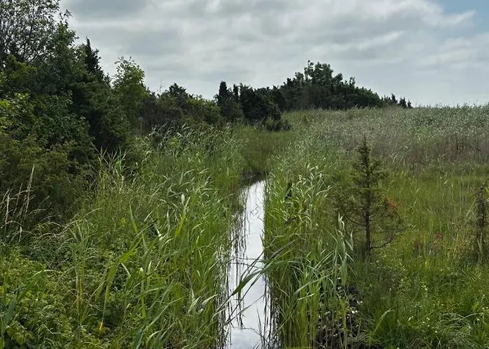 营地 Anniksson Nature Private Tiny Virtsu